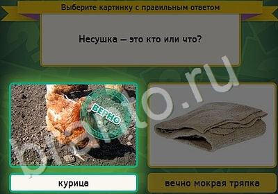 игра Выбирайка помощь Уровень 5339