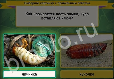 Выбирайка подсказки в контакте Уровень 5349