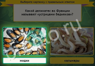 игра Выбирайка ответ на Уровень 5350