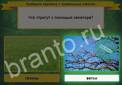 решебник на игру Выбирайка Уровень 5351