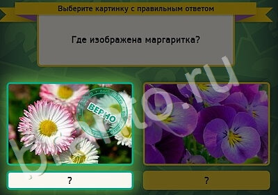 Выбирайка игра подсказки Уровень 5354