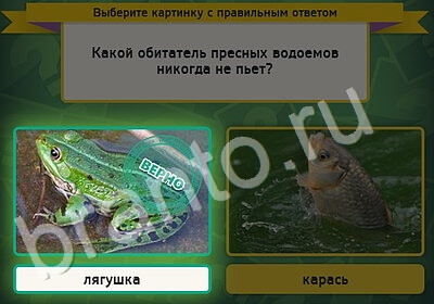 Выбирайка ответы в картинках Уровень 5356