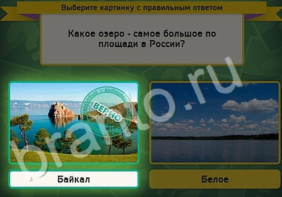 Игра Выбирайка подсказки Уровень 5358
