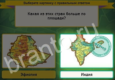 игра Выбирайка ответ на Уровень 5360