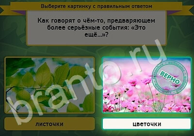 игра Выбирайка ответ на Уровень 5380
