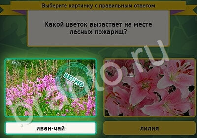Выбирайка ответы в картинках Уровень 5386