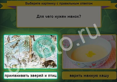 Выбирайка решения Уровень 5392