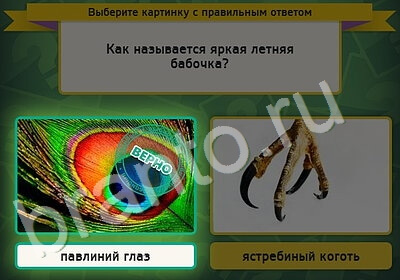 Выбирайка игра ответы Уровень 5393