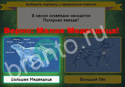 Выбирайка игра подсказки Уровень 5394