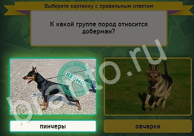 Выбирайка игра помощь Уровень 5395