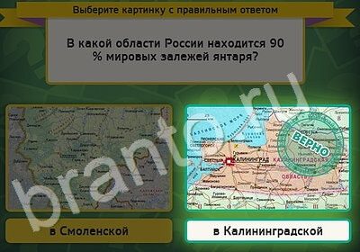 Игра Выбирайка ответы Уровень 5397