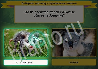 Решения на игру Выбирайка Уровень 5403