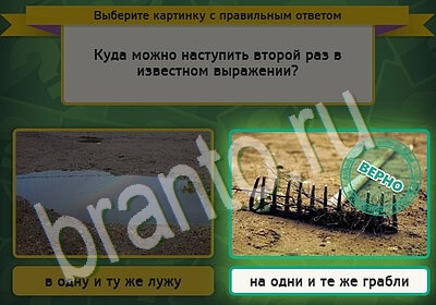 Помощь на игру ВК Выбирайка Уровень 5404