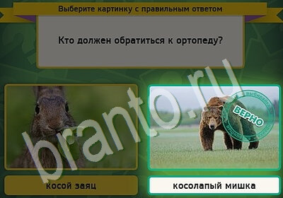 Одноклассники Выбирайка ответы Уровень 5408