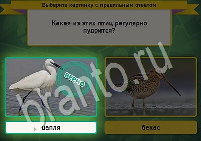 Выбирайка ответы в картинках Уровень 5416