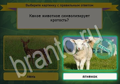 Выбирайка игра ответы Уровень 5423