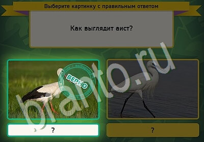 Выбирайка игра ответы в одноклассниках Уровень 5437