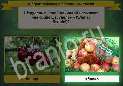Игра Выбирайка ответы Уровень 5447