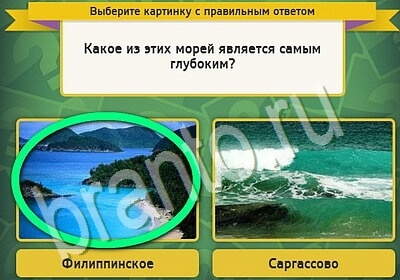 Выбирайка ответы в картинках Уровень 5456