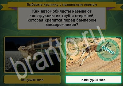 Игра Выбирайка подсказки Уровень 5478
