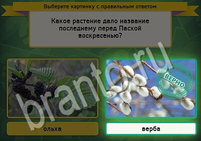 Помощь на игру ВК Выбирайка Уровень 5494