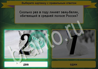 Выбирайка игра ответы в одноклассниках Уровень 5497