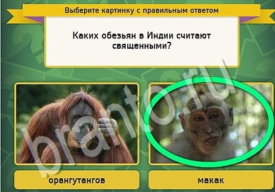 ответы на игру в одноклассниках Выбирайка Уровень 5526