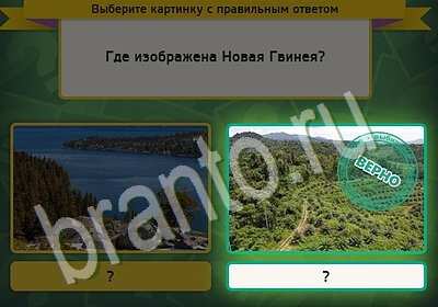 Выбирайка игра подсказки Уровень 5534