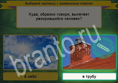 Игра Выбирайка ответы Уровень 5537