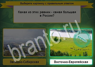 решебник на игру Выбирайка Уровень 5541