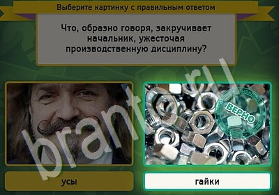 Выбирайка игра подсказки Уровень 5544