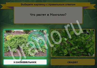игра Выбирайка ВК помощь Уровень 5549