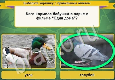 Выбирайка решения Уровень 5562