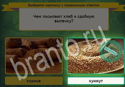 игра Выбирайка ВК помощь Уровень 5579