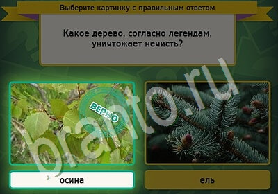 Подсказки на игру Выбирайка Уровень 5582