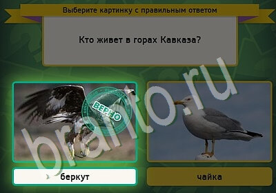 игра Выбирайка помощь Уровень 5599