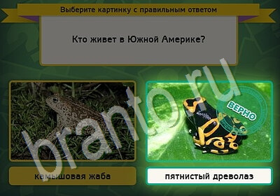 Выбирайка ответы в картинках Уровень 5606