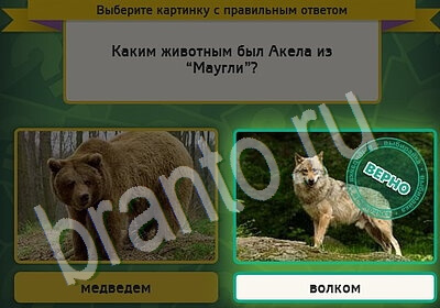 Игра Выбирайка Одноклассники подсказки Уровень 5638