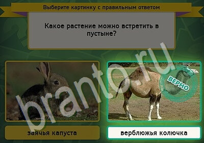 Выбирайка игра ответы в одноклассниках Уровень 5647