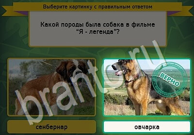 Выбирайка решения Уровень 5652