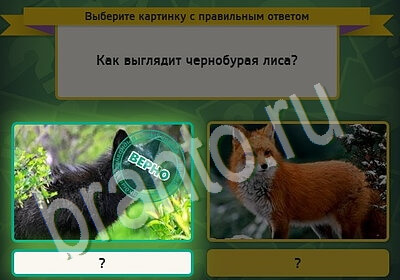 игра Выбирайка Мой мир ответ на Уровень 5670