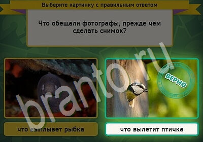 Подсказки на игру Выбирайка Уровень 5672