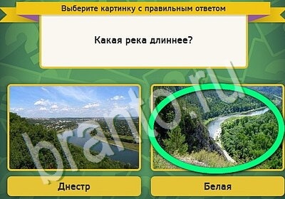 Решения на игру Выбирайка Уровень 5673