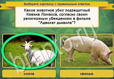 игра Выбирайка ответ на Уровень 5690