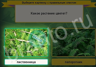 ответы на игру в одноклассниках Выбирайка Уровень 5706