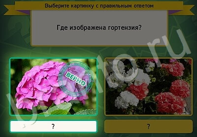Выбирайка решения Уровень 5712