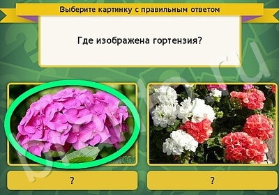 Выбирайка игра ответы Уровень 5713