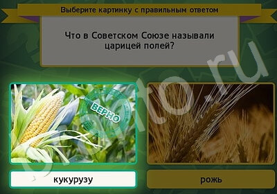 игра Выбирайка ответ на Уровень 5720