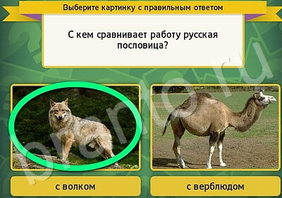 игра Выбирайка ВК помощь Уровень 5729