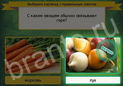 решебник на игру Выбирайка Уровень 5741